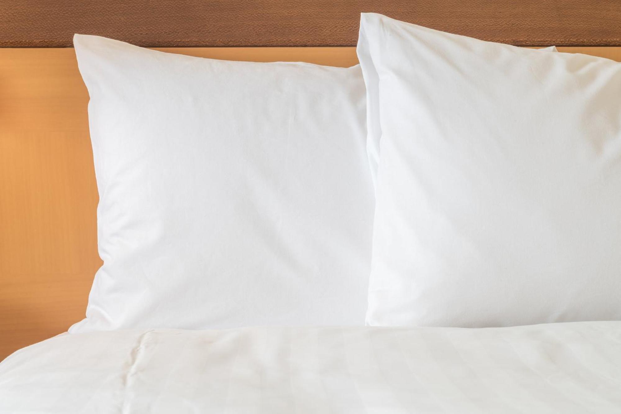 Holiday Inn Nashville Downtown - Stadium By Ihg Екстер'єр фото